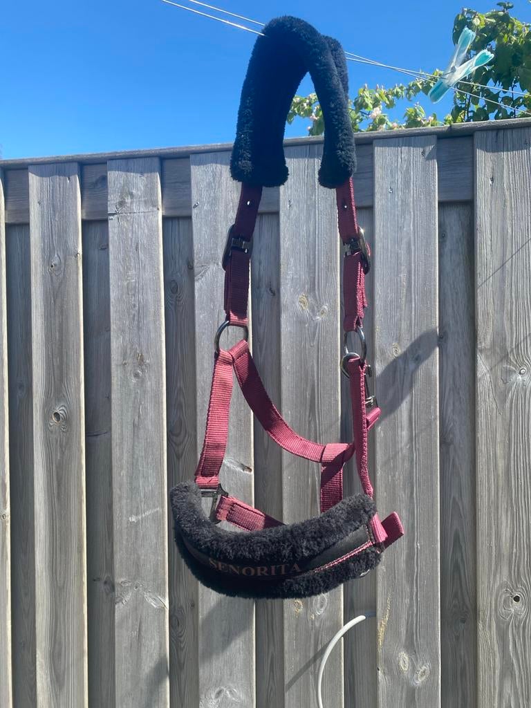 bordeaux rood halster, Dieren en Toebehoren, Ophalen of Verzenden, Nieuw, Overige soorten