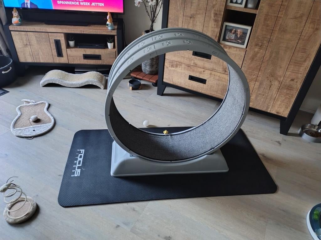 Kat loopwiel oefen wiel loopband grijs, Ophalen, Zo goed als nieuw, Overig speelgoed