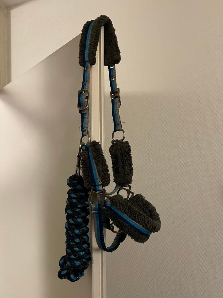 Pony Haster Bontgevoerd Blauw Halstertouw Harrys Horse Stout, Dieren en Toebehoren, Paarden en Pony's | Hoofdstellen en Tuigage