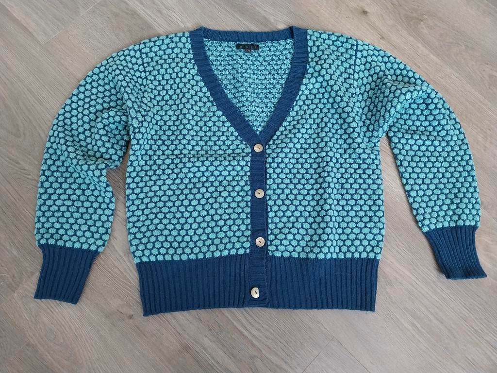 Bindi vest kleur blauw-aqua maat L/XL, Kleding | Dames, Ophalen of Verzenden, Zo goed als nieuw, Maat 42/44 (L), Blauw
