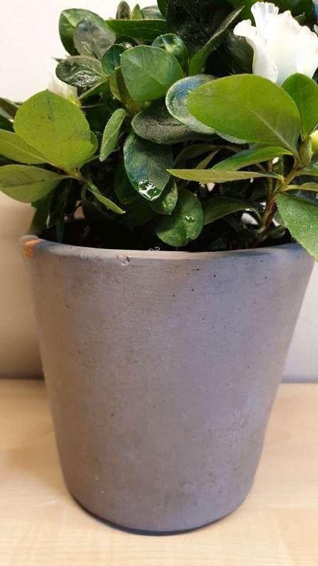 Bloempot, steen, grijs, hoogte 12cm, binnen diameter 10,5cm, Tuin en Terras, Bloempotten, Rond, Ophalen of Verzenden, Aardewerk