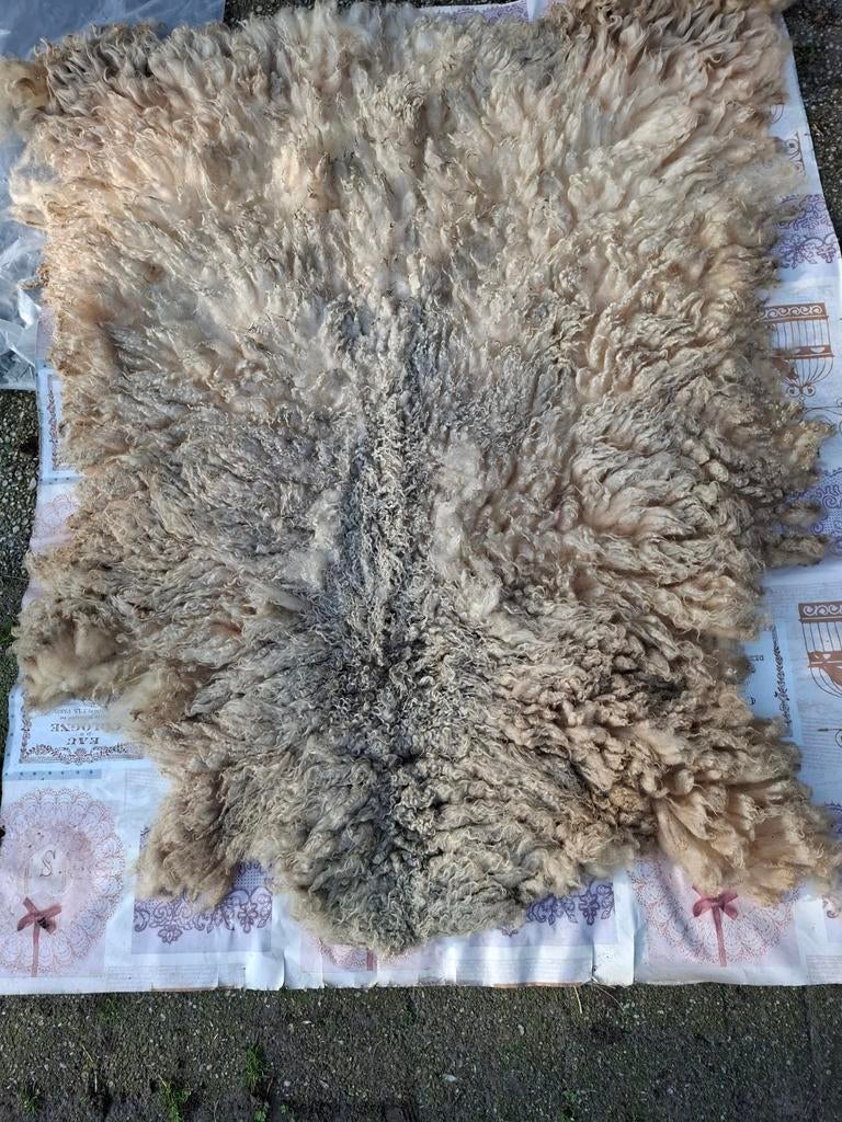 Vacht om te vilten van Gotland/Heideschaap, Ophalen of Verzenden, Nieuw, Spinnewiel