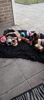 knaagdier spullen, Januari, Meerdere dieren, Hamster