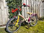 Nette veelkleurige fiets 20 inch Batavus - laag model, Fietsen en Brommers, Ophalen, Gebruikt, Batavus, Handrem