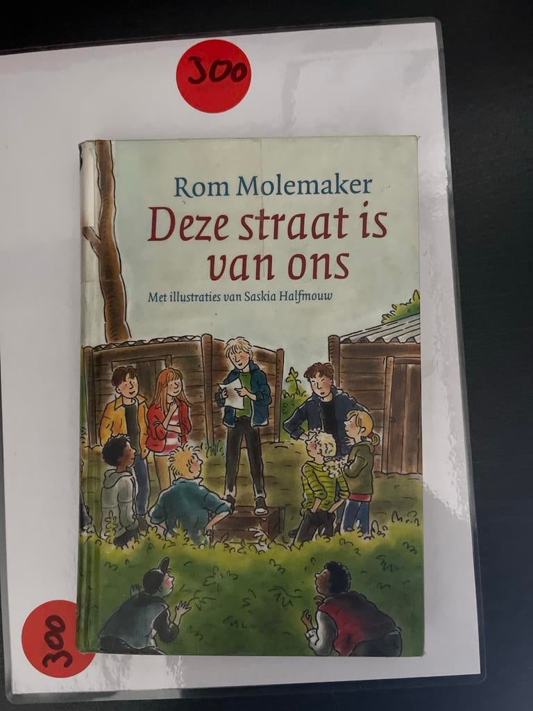 Rom Molemaker - Deze straat is van ons (geïllustreerd), Boeken, Ophalen of Verzenden, Zo goed als nieuw, Fictie