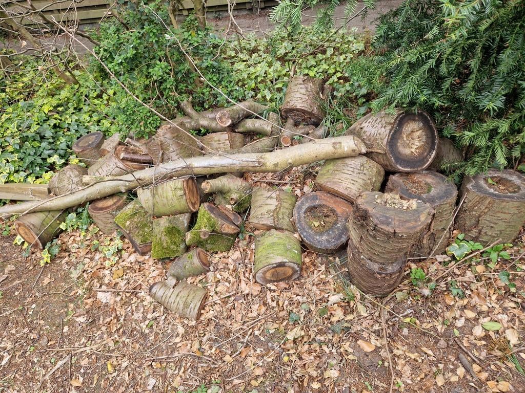 Gratis af te halen prunes brandhout, Tuin en Terras, Haardhout, Minder dan 3 m³, Ophalen