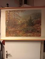 Vintage Schoolplaat 'In het duin' M.A. Koekkoek, Ophalen of Verzenden, Natuur en Biologie