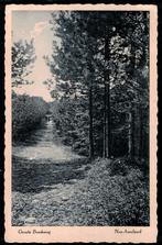 Nes Ameland, Groote Boschweg. 1932., Verzamelen, Ophalen of Verzenden, 1920 tot 1940, Gelopen, Waddeneilanden