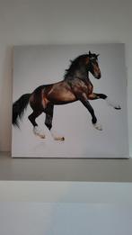 Canvas Schilderij Paard 38x38 cm, Ophalen of Verzenden