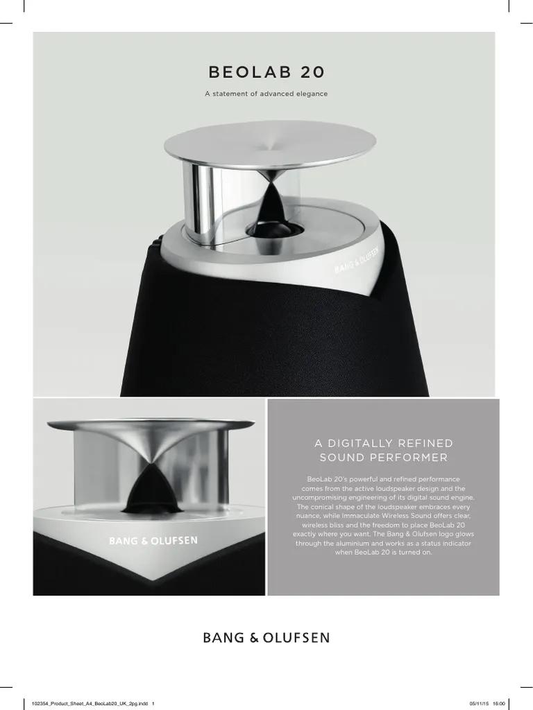 Bang & Olufsen Beolab 20 MK2 - Zwart - Zo goed als nieuw