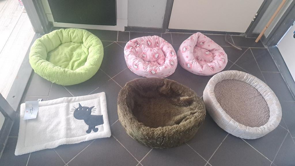Katten manden, Ophalen of Verzenden