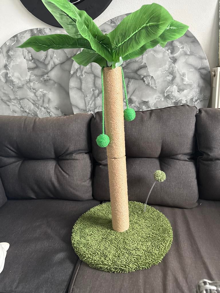 Katten krabpaal boom, Ophalen, Nieuw