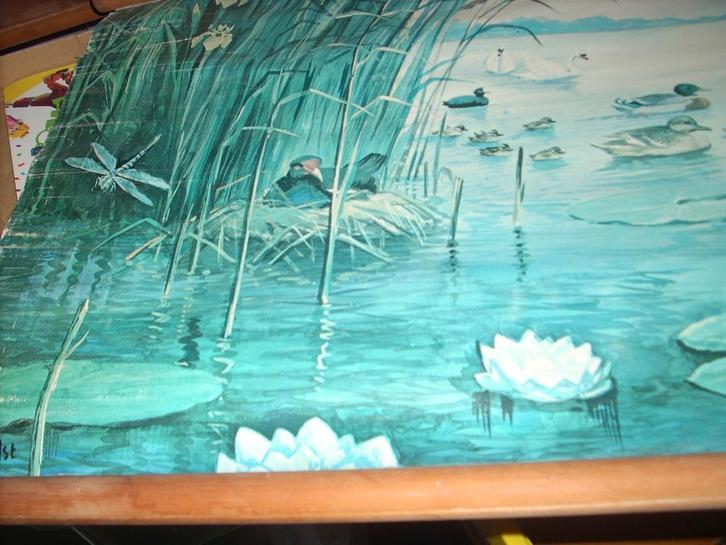 Verzamelaar - Oude Schoolplaten - De Seizoenen - 40<>120 cm, Verzamelen, Overige Verzamelen, Gebruikt, Ophalen