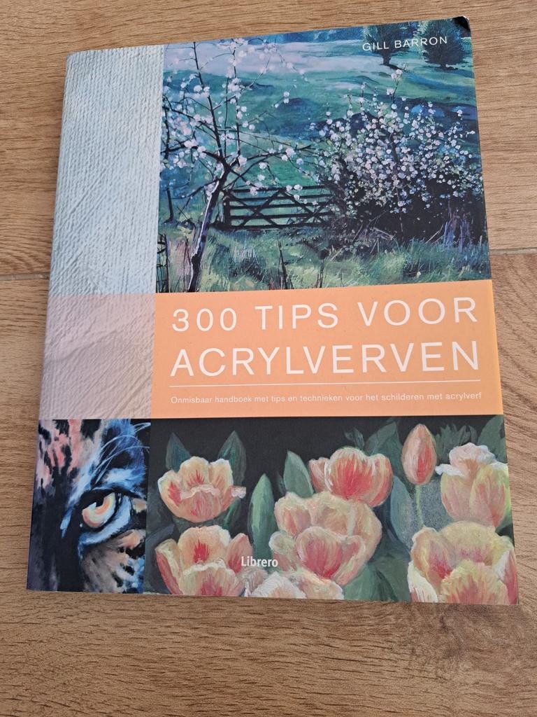 300 Tips voor Acrylverven - Gill Barron, Ophalen of Verzenden, Zo goed als nieuw, Tekenen en Schilderen, Gill Barron