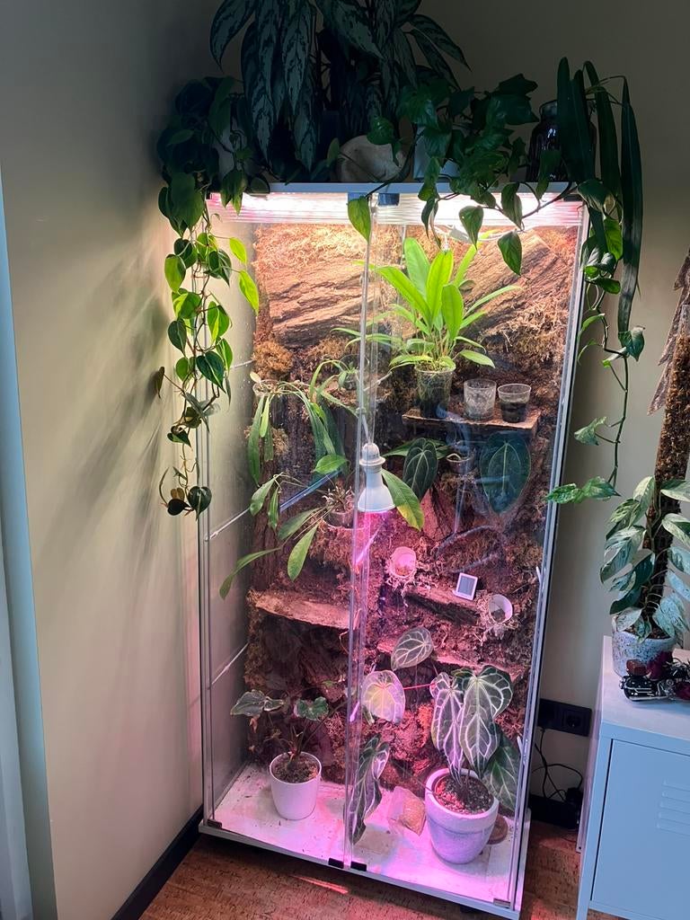 Indoor greenhouse, Ophalen