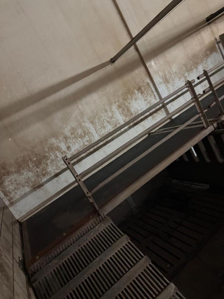 Plateaus voor vleesvarkens [260], Boekhorst Trading, Info@boekhorsttrading.com, Singel 16