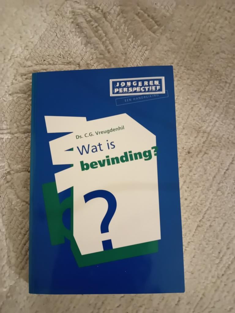 C.G. Vreugdenhil - Wat is bevinding?, Ophalen of Verzenden, Zo goed als nieuw, C.G. Vreugdenhil