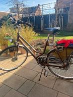 Giant damesfiets, bruin, framemaat 52 cm, 50 tot 53 cm, Ophalen, Gebruikt, Versnellingen