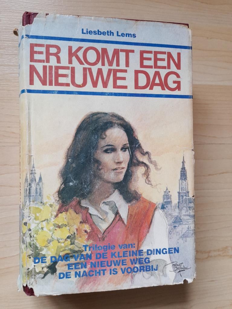 ER KOMT EEN NIEUWE DAG Liesbeth Lems trilogie, Boeken, Ophalen of Verzenden, Gelezen, Nederland