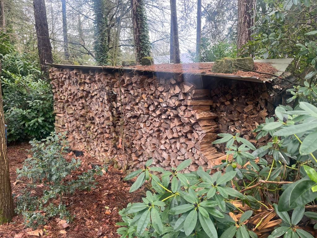 Brandhout, Tuin en Terras, Haardhout, Minder dan 3 m³, Ophalen of Verzenden