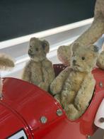 Antieke Steiff verzameling te koop met knop! Incl. Auto, Antiek en Kunst, Ophalen of Verzenden