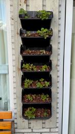 Verticale plantenbakken voor aardbeien of kruiden, Tuin en Terras, Kunststof, Minder dan 30 cm, Balkon, Minder dan 60 cm