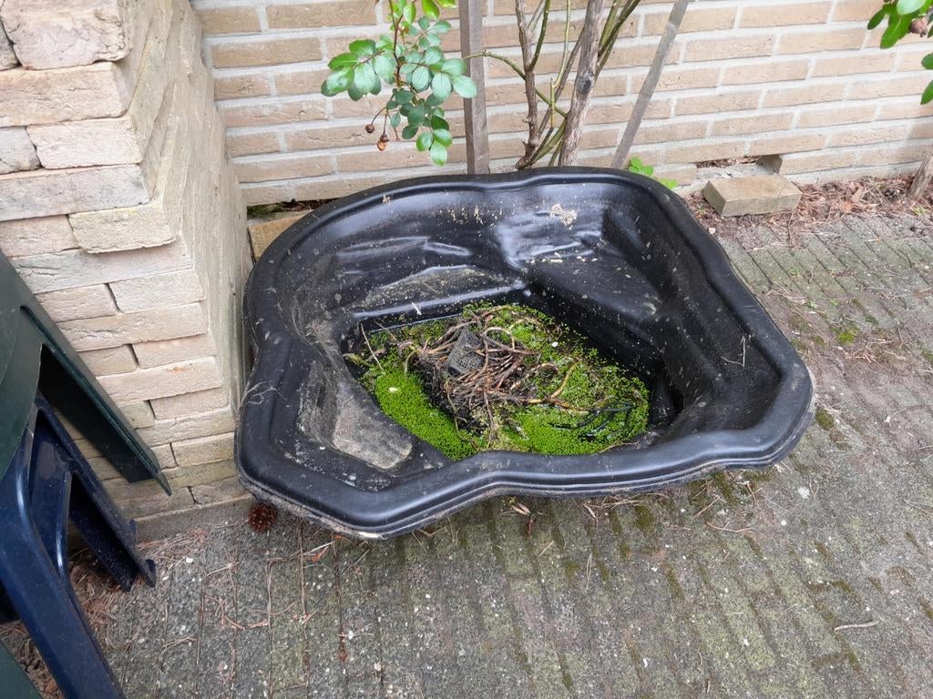 2 kleine vijvertjes met lotus plant, Ophalen, Gebruikt