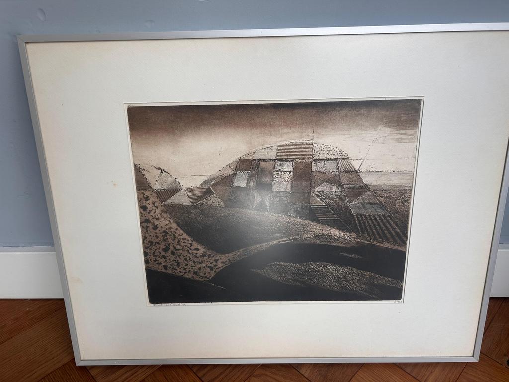 Erik van Ginkel ets, Ophalen of Verzenden