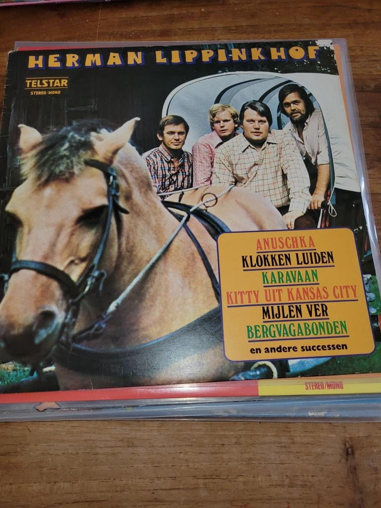 Top lp herman lippinkhof, Ophalen of Verzenden, Zo goed als nieuw, Overige formaten, Levenslied of Smartlap