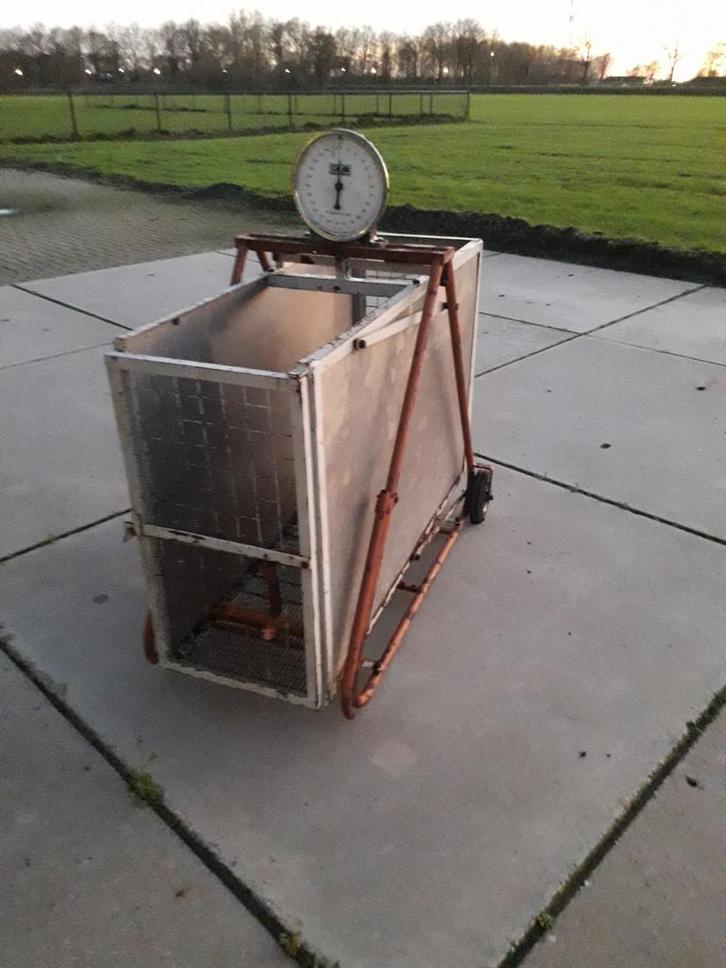 Doorloopweegschaal schapenweegschaal dieren weegschaal weger, Dieren en Toebehoren, Overige Dieren-accessoires, Gebruikt, Ophalen