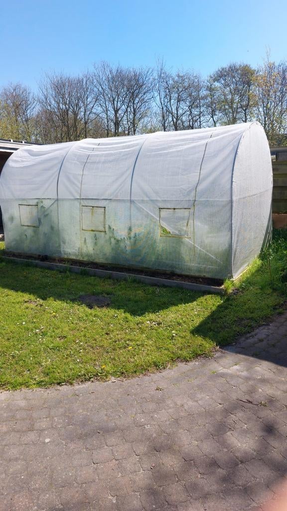 Gratis tunneltent(gereserveerd voor mary), Ophalen, Glas, Gebruikt, Overige materialen