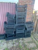 Stapel kratten, 40 tot 60 cm, 50 tot 75 cm, Minder dan 35 cm, Ophalen of Verzenden