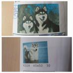 2 x Diamond Painting Husky Honden (40x50 cm) vol vierkant, Ophalen of Verzenden, Nieuw, Knutselwerk