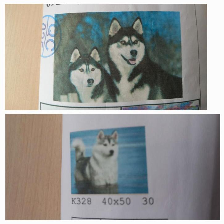 2 x Diamond Painting Husky Honden (40x50 cm) vol vierkant, Hobby en Vrije tijd, Knutselen, Nieuw, Knutselwerk, Ophalen of Verzenden