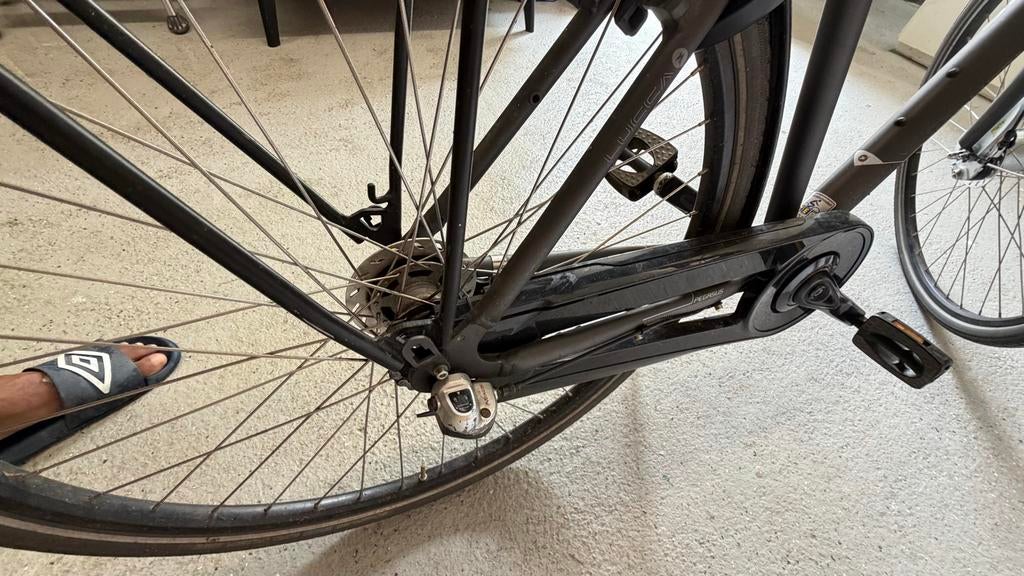 Pegasus fiets, Velgrem, Versnellingen, Zo goed als nieuw, 53 tot 57 cm