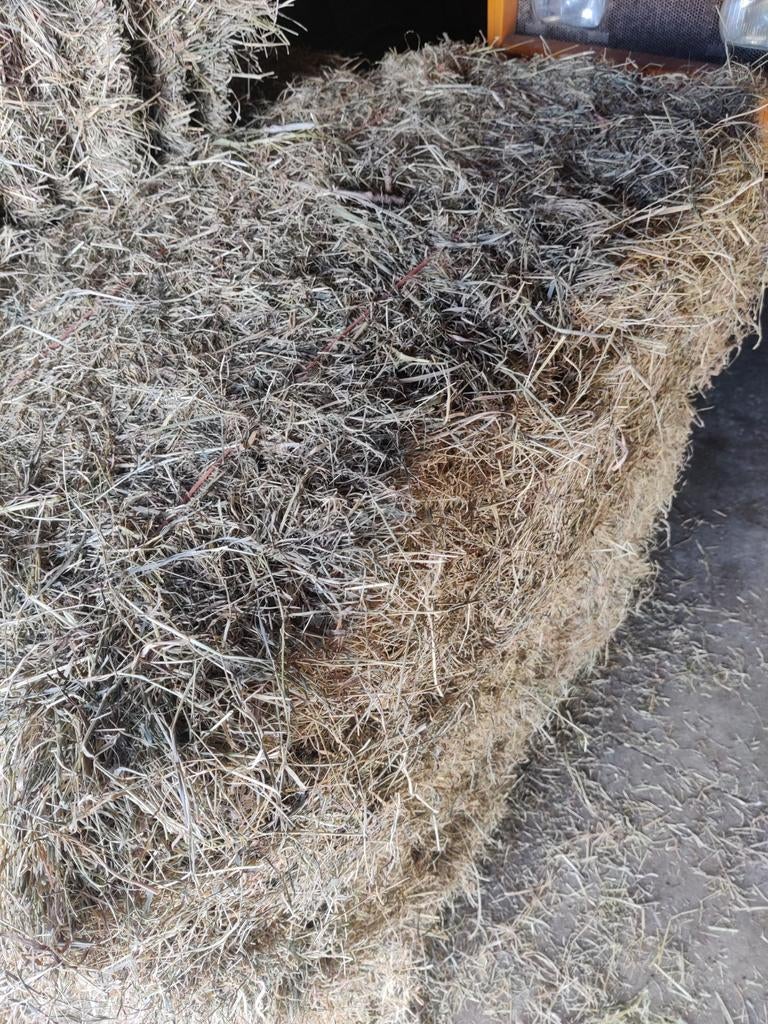 Kleine hooi pakjes!, Dieren en Toebehoren, Ophalen, Vee