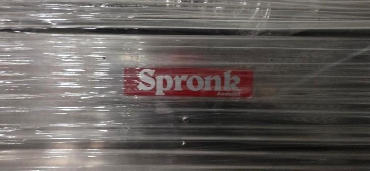 Professionele Pizza Oven, Zakelijke goederen, Horeca | Keukenapparatuur, Ovens, Magnetrons en Steamers, Gebruikt, Ophalen