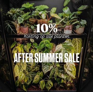 10% korting op Philodendron, Alocasia, Anthurium en meer! beschikbaar voor biedingen