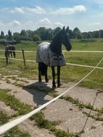 Weiden maatje aangeboden, Dieren en Toebehoren, Paarden, Merrie, Gechipt, Niet van toepassing, 160 tot 165 cm
