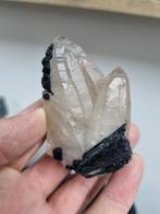 Rookkwarts cluster met toermalijn, Ophalen of Verzenden, Mineraal