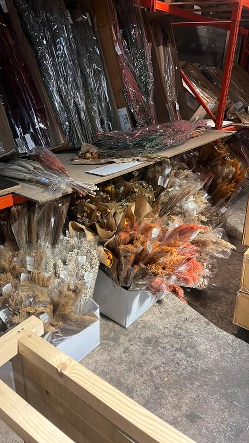Hele grote partij droogbloemen, Huis en Inrichting, Woonaccessoires | Droogbloemen, Ophalen