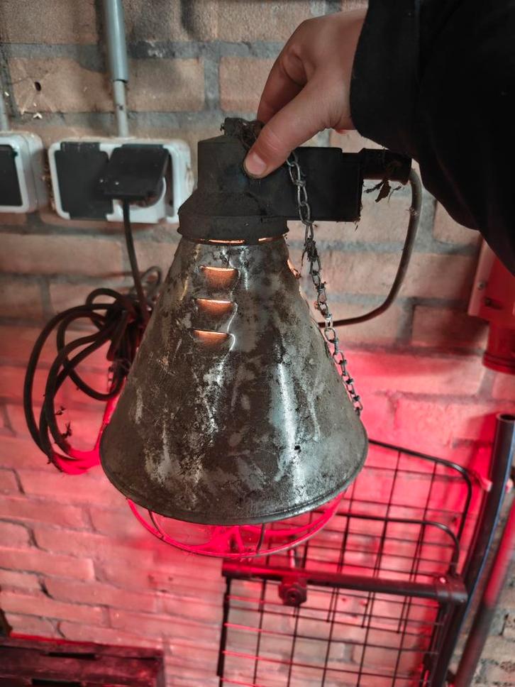Warmtelamp, Dieren en Toebehoren, Overige Dieren-accessoires, Zo goed als nieuw, Ophalen of Verzenden