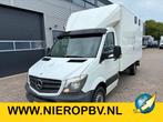 Mercedes-Benz Sprinter 316CDI Paardenwagen/schapen pony's/ e, Dieren en Toebehoren, Paarden en Pony's | Trailers en Aanhangwagens