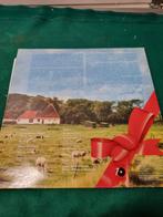 lp de mooiste liedjes over kinderen, Cd's en Dvd's, Vinyl | Overige Vinyl, Ophalen of Verzenden