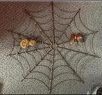 Halloween? Wanddecoratie spinnenweb handmade, Ophalen of Verzenden, Zo goed als nieuw