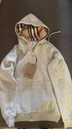 Grijze burberry vest, Kleding | Heren, Ophalen of Verzenden, Zo goed als nieuw, Maat 52/54 (L), Grijs