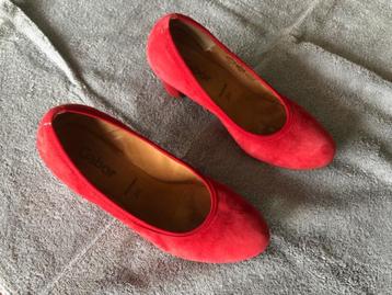 dames schoenen beschikbaar voor biedingen