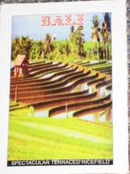 Apart Kaartspel Bali (Indonesie) KADO-TIP, Verzenden, Nieuw, Speelkaart(en)