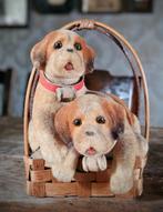 Twee schattige Sint Bernard puppies, Ophalen of Verzenden