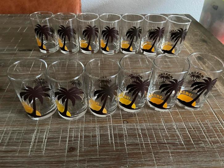 13 unieke Malibu glazen Malibu coconut liquor, Verzamelen, Glas en Borrelglaasjes, Zo goed als nieuw, Ophalen of Verzenden